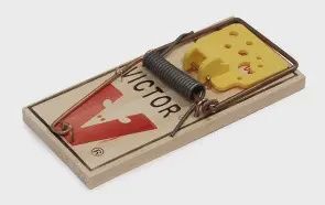Mouse Trap set of 2