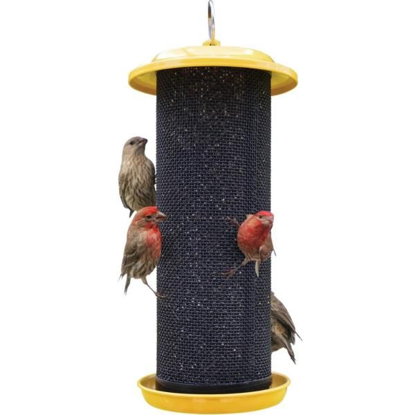 BF Sunglow Metal Mesh Finch