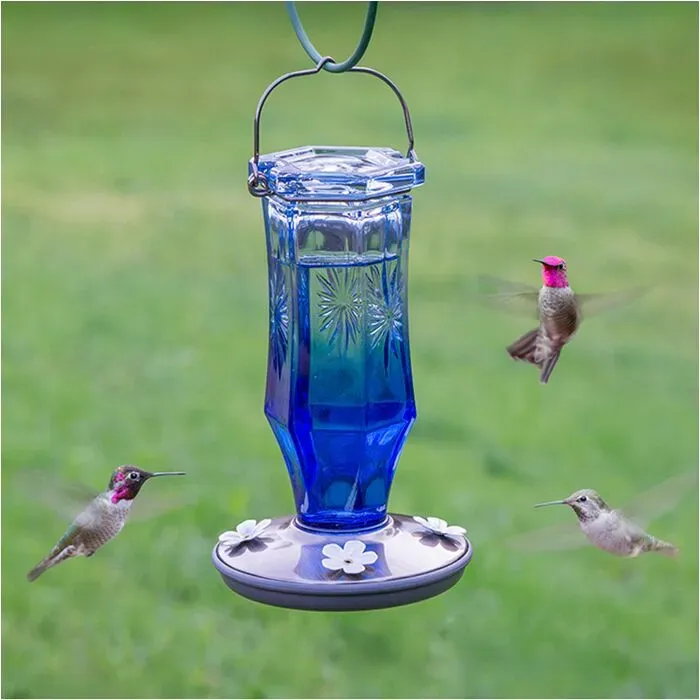 BF Perky Pet Hum Bird Sapphire