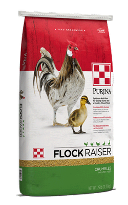 Flock Raiser Crumble Purina 50lb