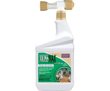 Moss Max RTS Qt