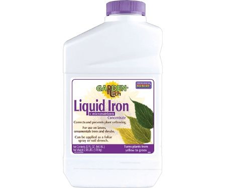 Iron, Liq Qt