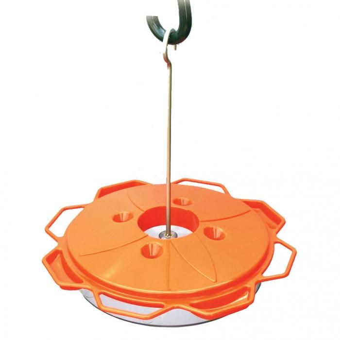 BF Oriole Classic Saucer