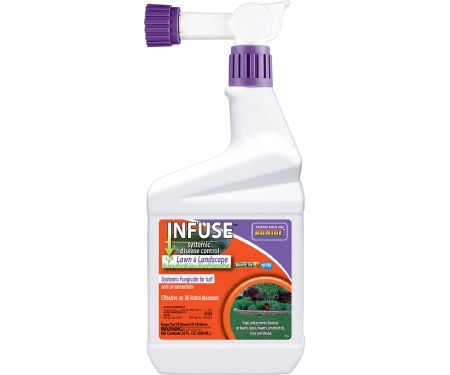 Infuse Hose End RTS Qt