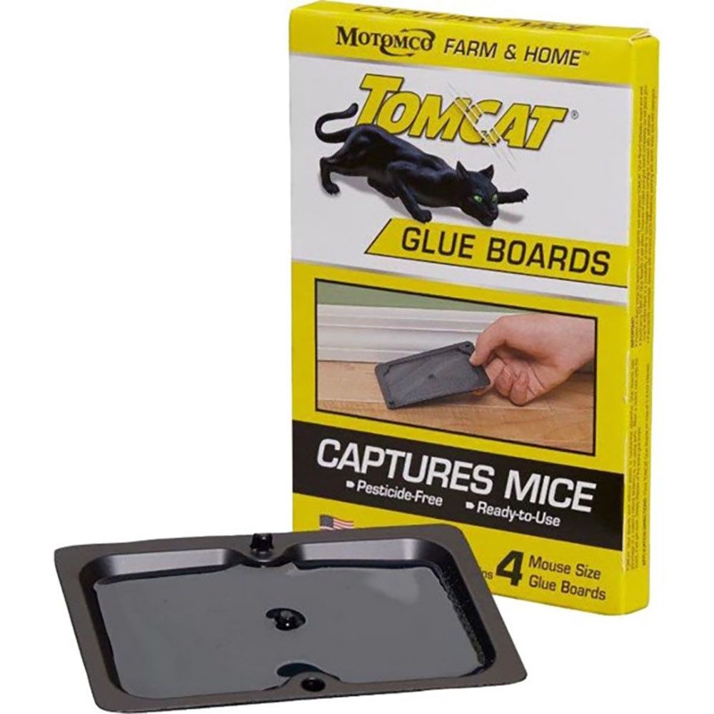 Mouse Glue Traps