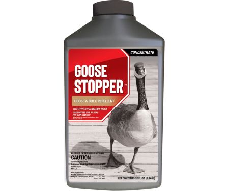 Repellent Goose Stopper Qt Conc
