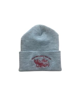 CFS Hat Beanie