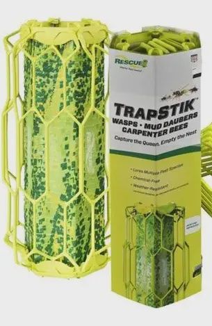 Wasp / Carpenter Bee Trapstik Rescue
