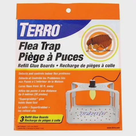 Flea Trap REFILL Terro