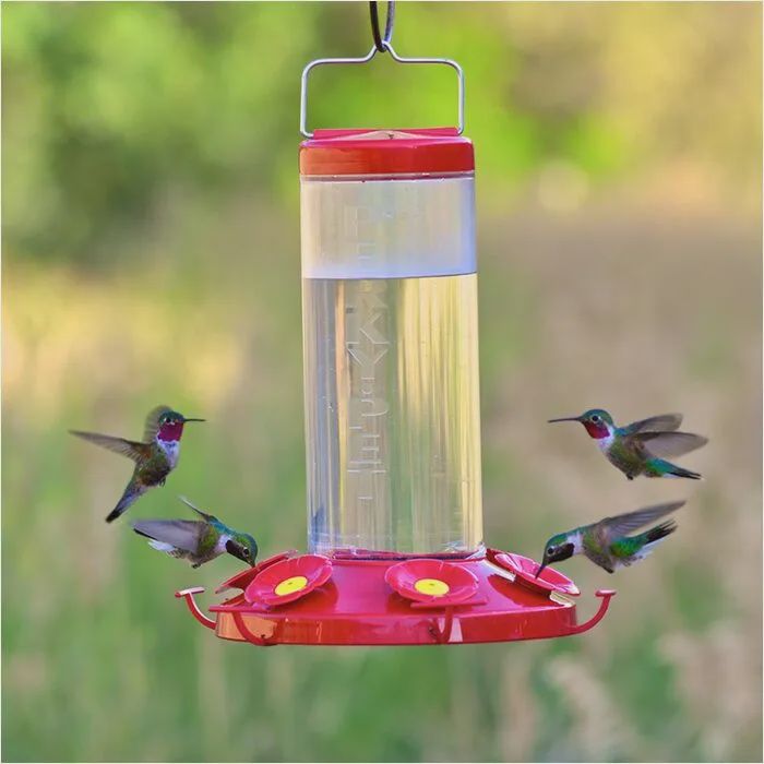 BF Perky Hum Bird Oasis Feeder