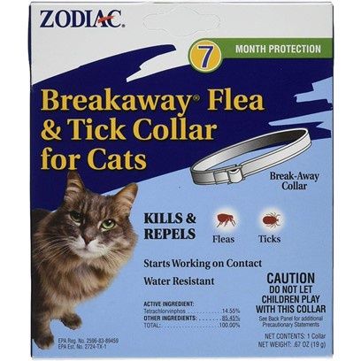 Flea Collar Cat