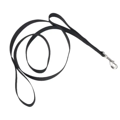 Lead 1" x 6' with Dbl Handle