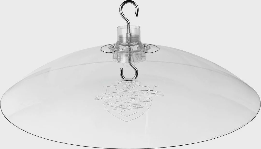 Squirrel Baffle Clear