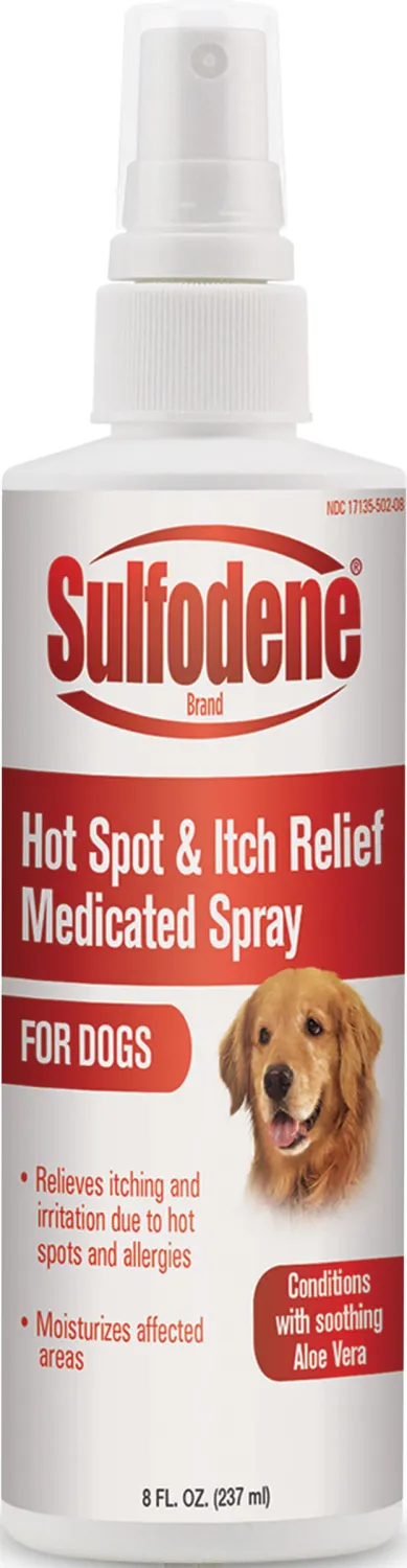 Sulfodene Hot Spot Pump 8oz