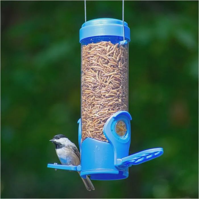 BF Perky Mealworm Tube