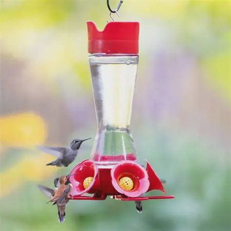 BF Perky Pet Hummers Pinch Glass 8oz