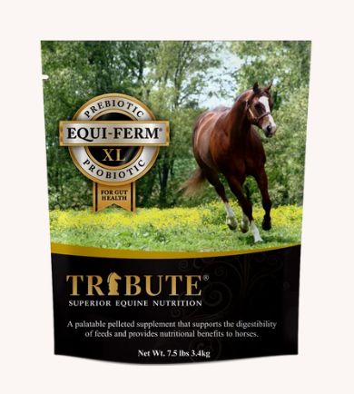 Equi-Ferm XL 7.5lb