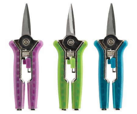 Tool Floral Shears 6" Splash
