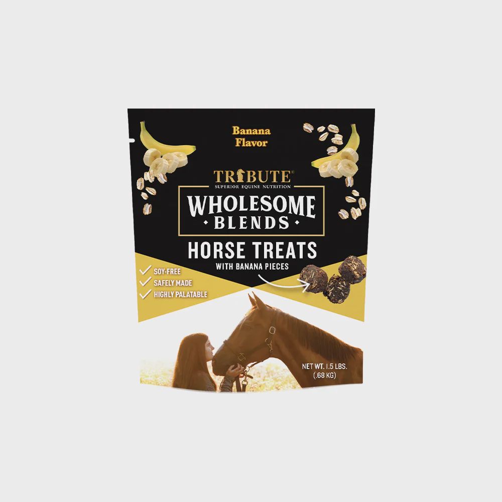 Treat Horse Banana 1.5lb Wholesome Blends