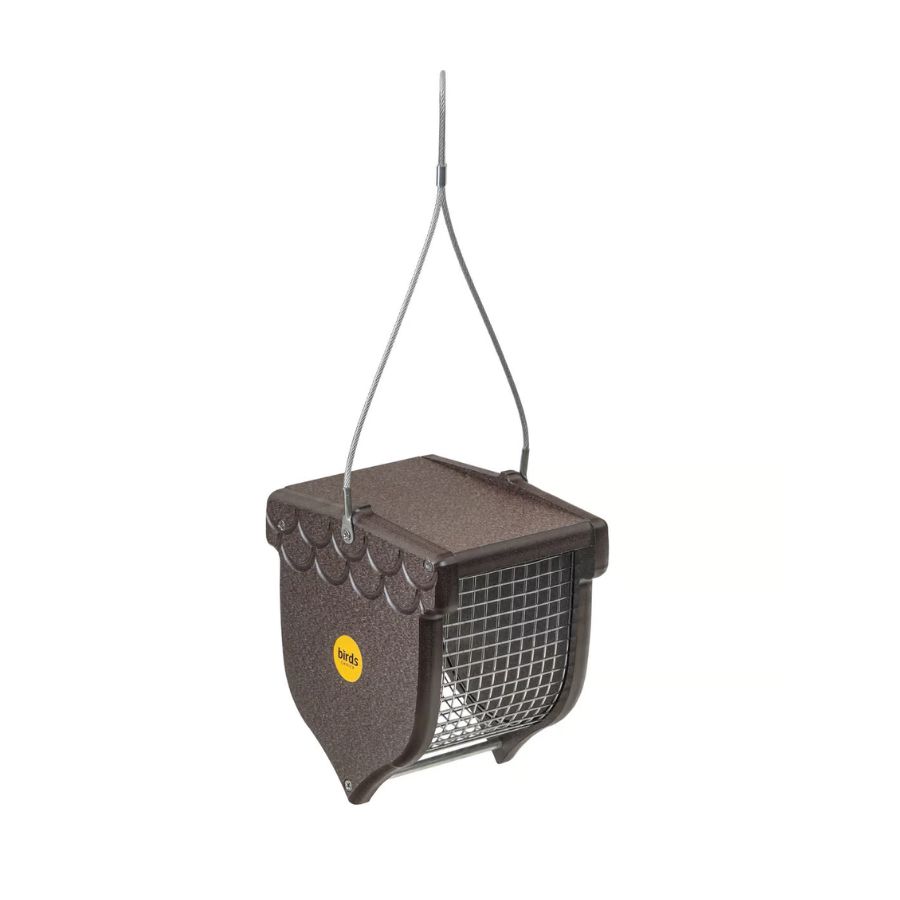 BF Bkyd  Peanut Feeder