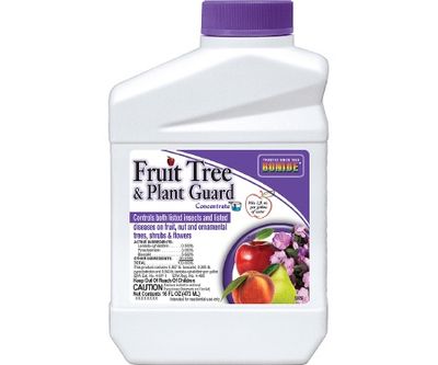 Fruit Tree &amp; Plant Guard Pt Conc