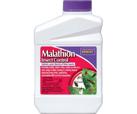 Malathion  Pt