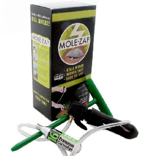 Mole Zap Starter Kit