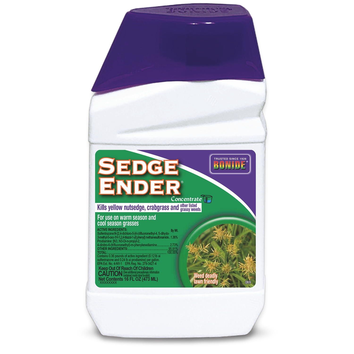Sedge Ender Conc Pt