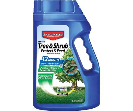 Tree &amp; Shrub 4lb-12mo gran