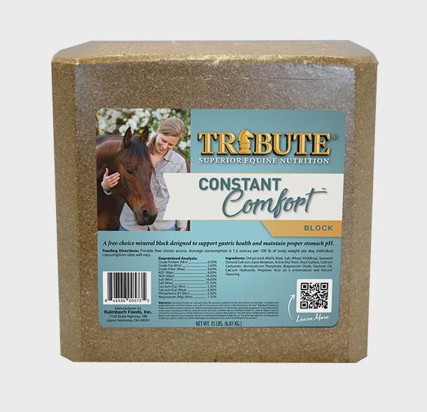 Constant Comfort Block 15lb