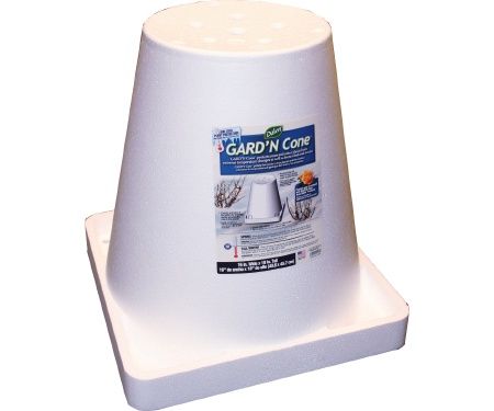 Rose Cone Foam