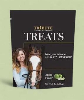 Treat Horse Apple 3lb Tribute