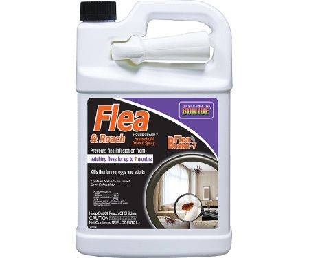 Flea &amp; Roach RTU Gal