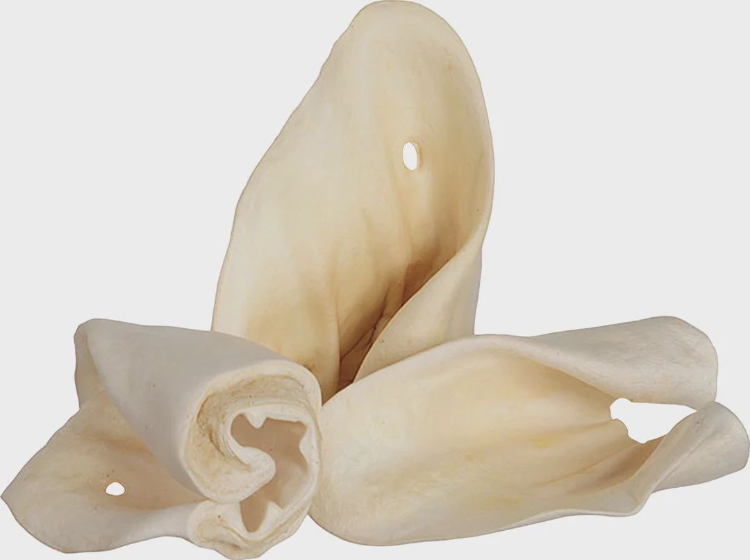 Cow Ears Natural