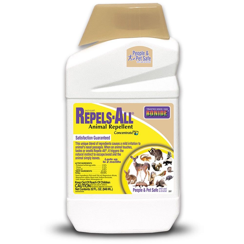 Repellent Repels All Conc Qt