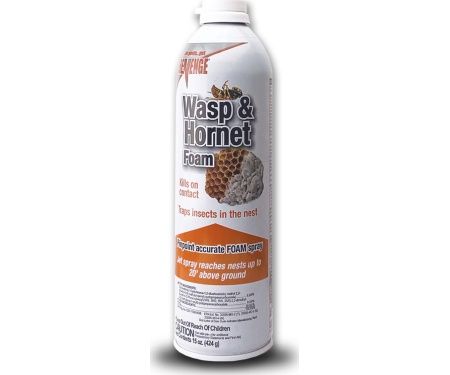 Hornet Wasp Water Base Foam 15oz