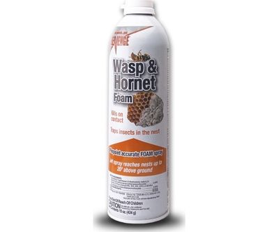 Hornet Wasp Water Base Foam 15oz