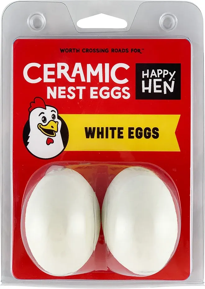 Ceramic Eggs 2 Pack White