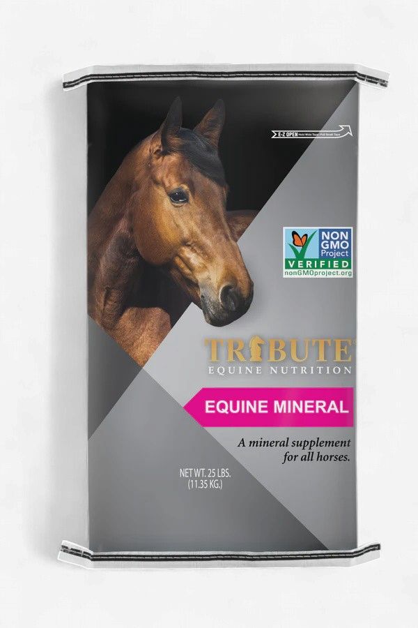Equine 12-8 Mineral 25lb