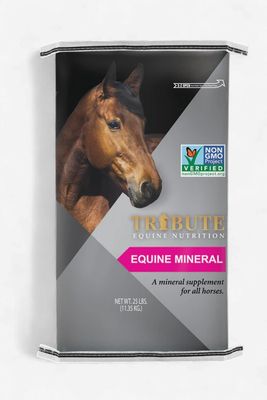 Equine 12-8 Mineral 25lb
