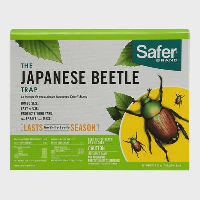 Beetle Trap Kit - Safer