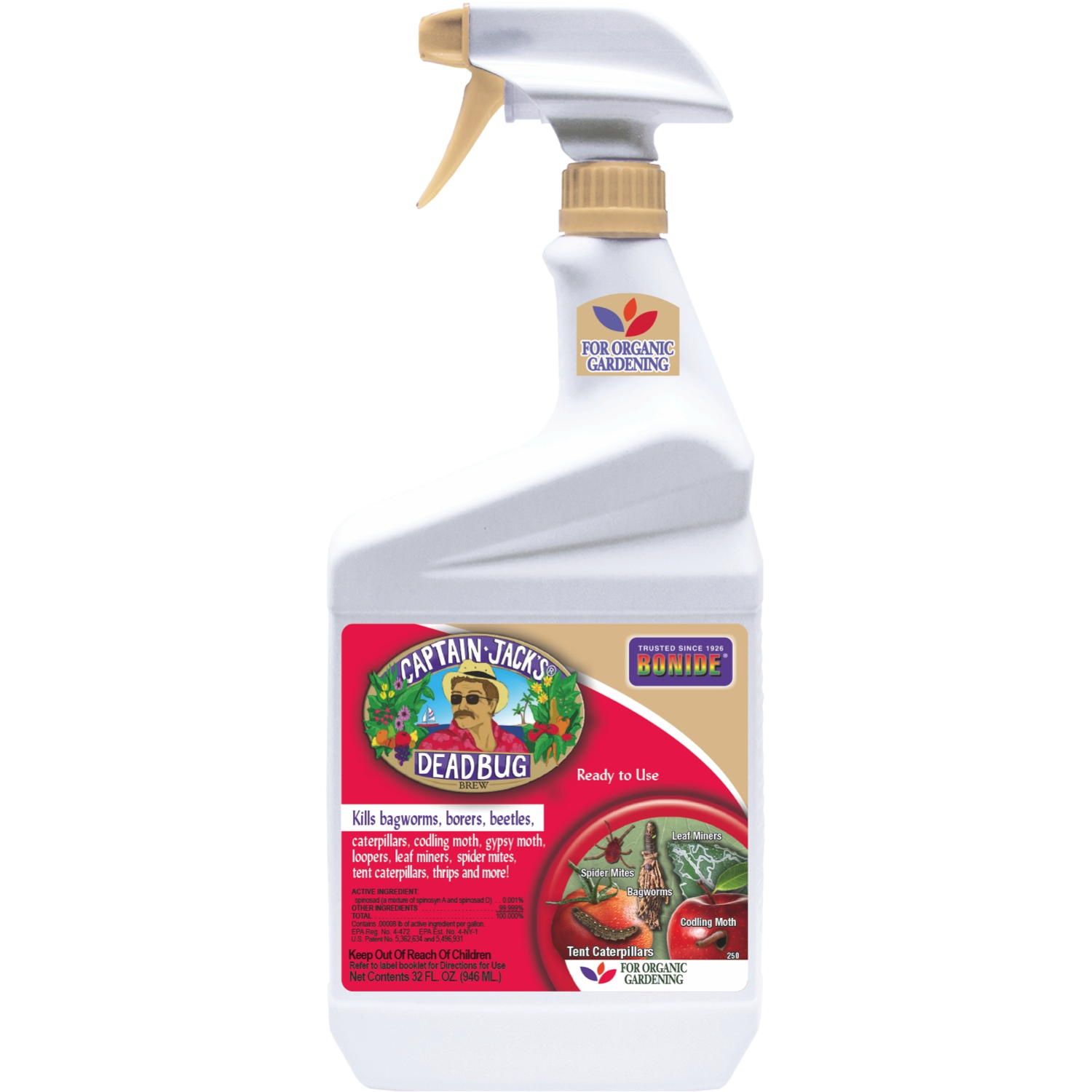 CJ Dead Bug Brew RTU Qt