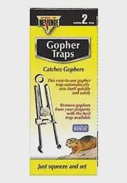 Gopher Trap
