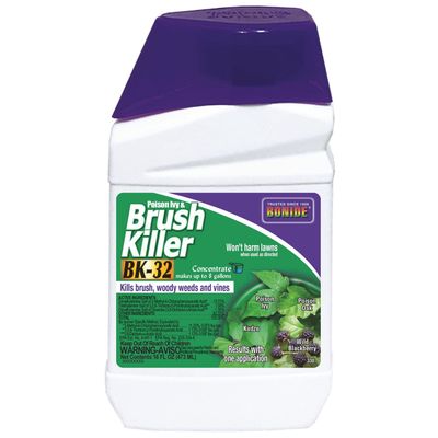 Brush Killer Conc Pt