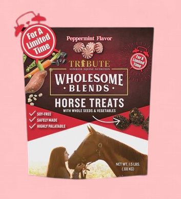 Treat Horse Peppermint 1.5lb Wholesome Blends