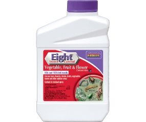 Eight Veg Fruit Flower Qt Conc