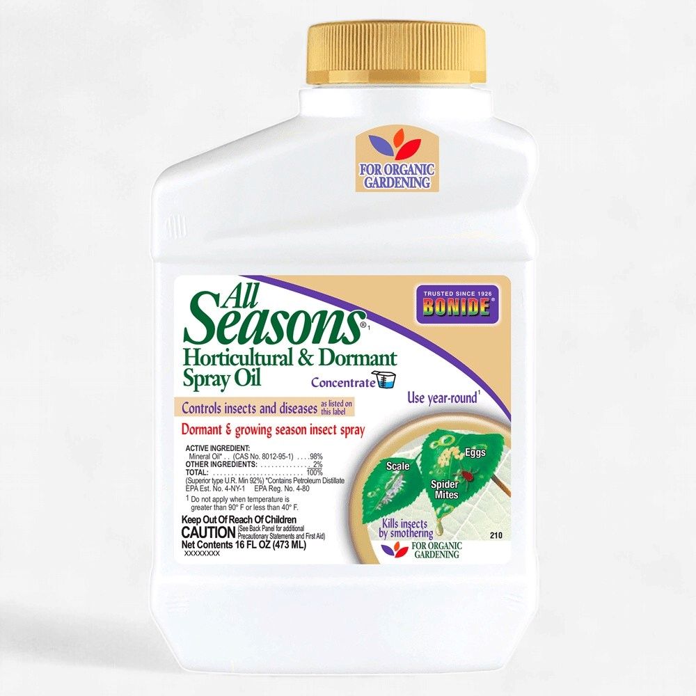 All Season Oil Pt Conc