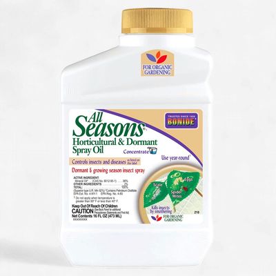 All Season Oil Pt Conc