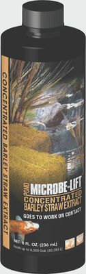 Barley Straw Liquid 8oz