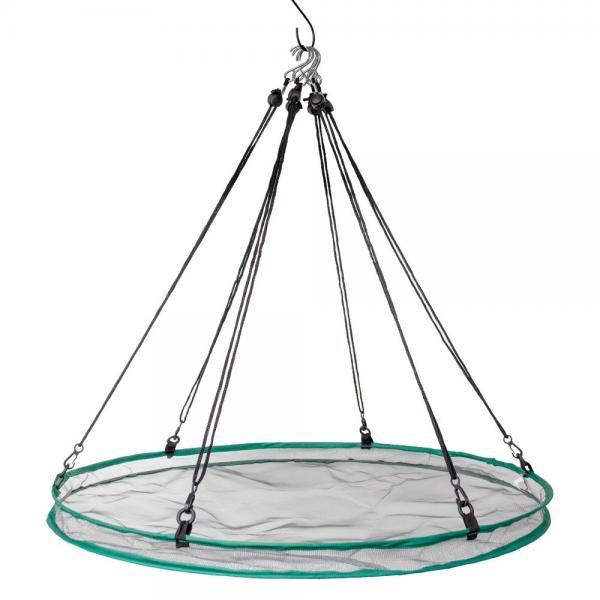 BF Seed Hoop 30"